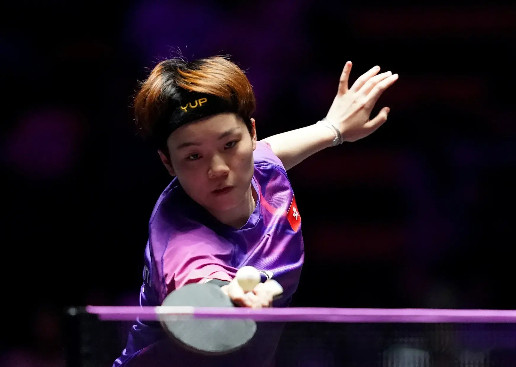 之间的胜者, entit 之间的胜者, entit